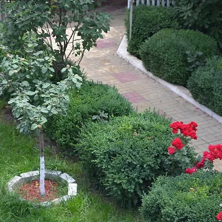 Cristalex Villaverde Bucharest-3